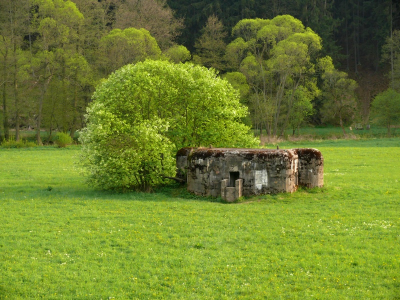 P1160200_m