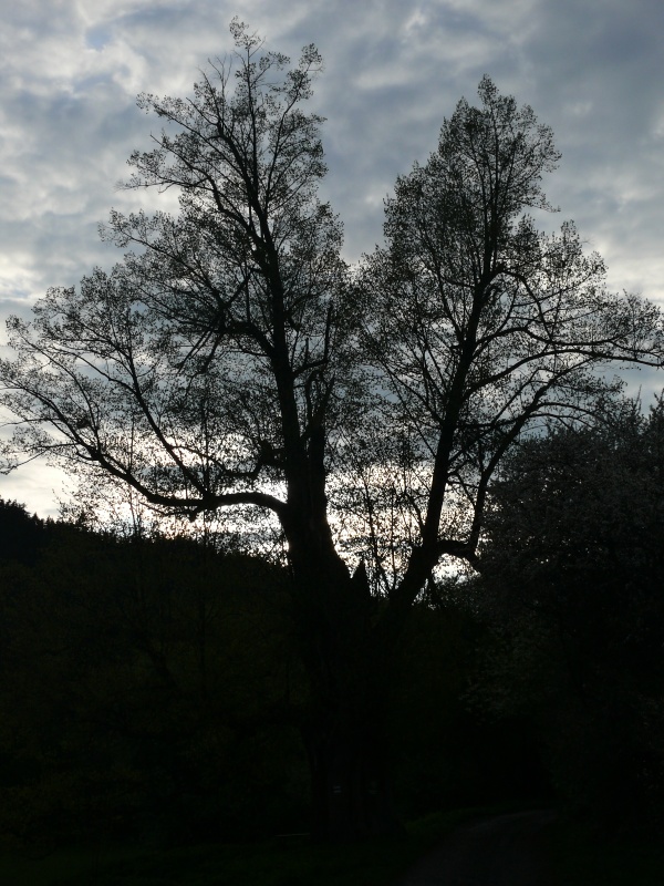 P1160202_m