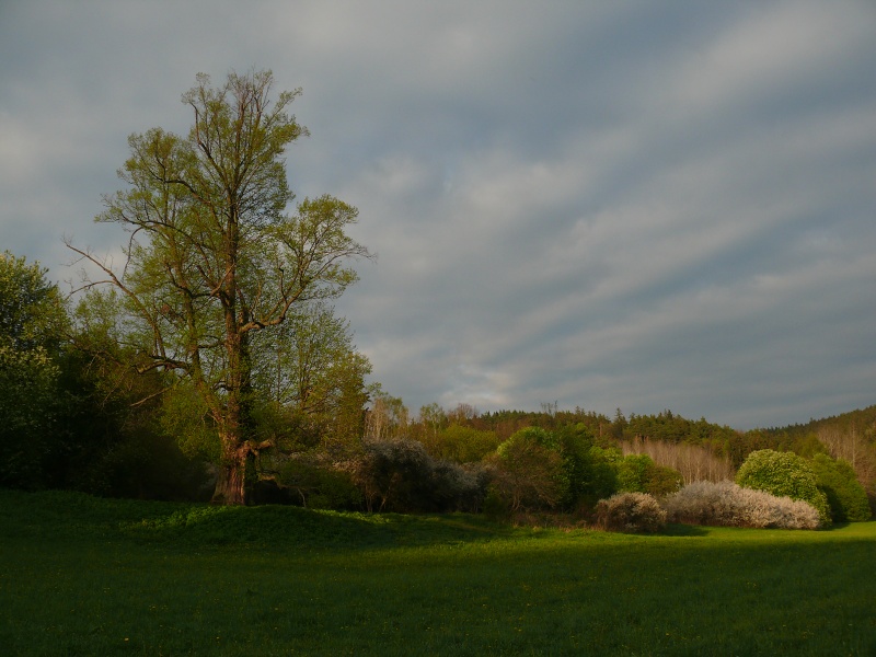 P1160224_m