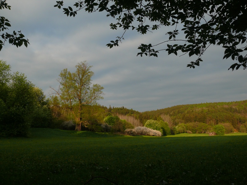 P1160234_m