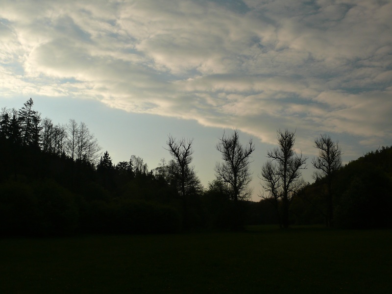P1160241_m