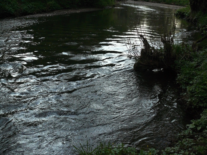 P1160251_m