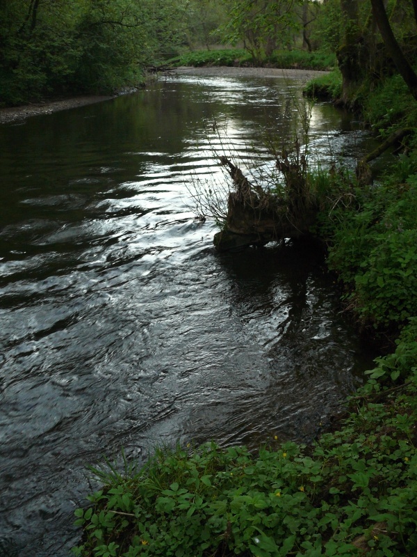 P1160254_m
