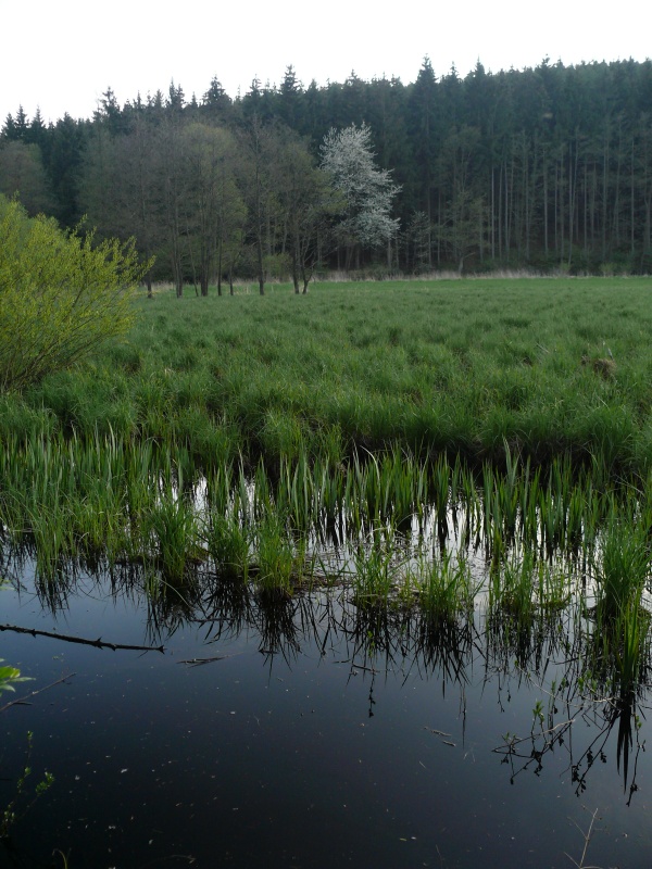 P1160259_m